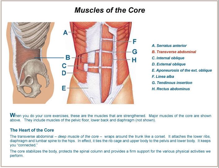Why Is It Important to Strengthen Your Core